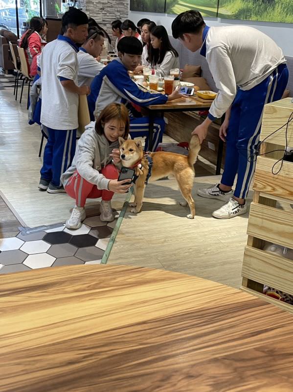 森林小徑文心店對寵物超友善